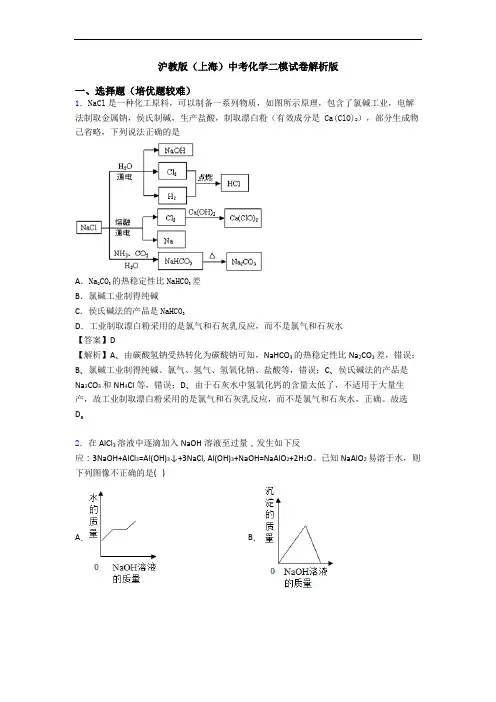 沪教版(上海)中考化学二模试卷解析版