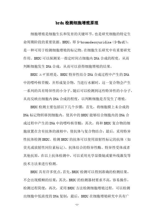brdu检测细胞增殖原理