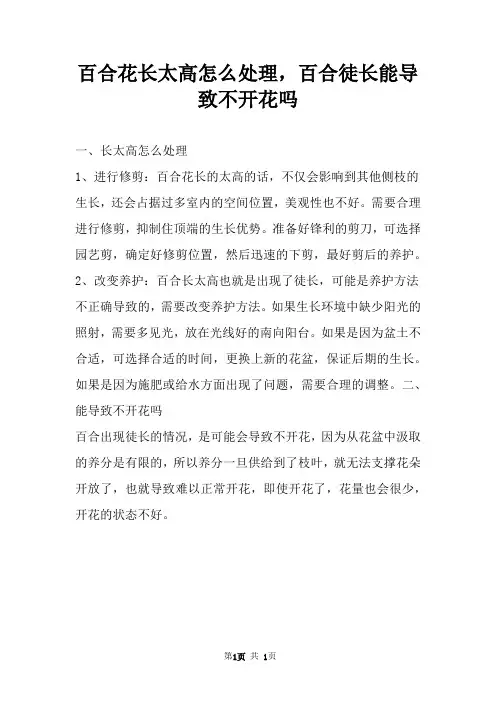 百合花长太高怎么处理，百合徒长能导致不开花吗 