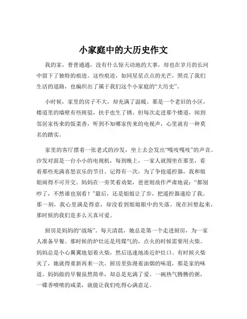 小家庭中的大历史作文