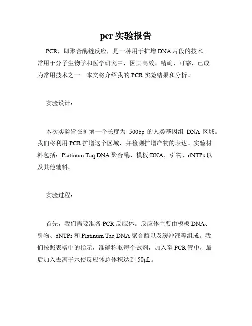 pcr实验报告