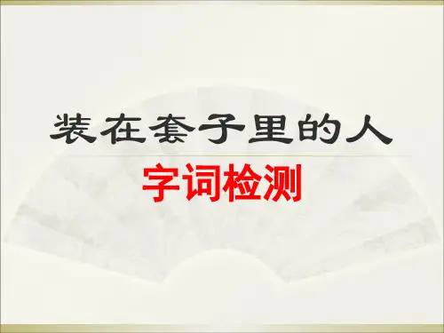 2015《装在套子里的人》