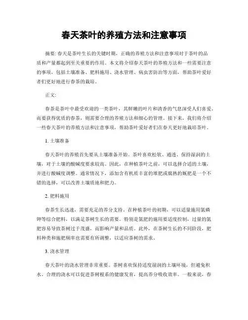 春天茶叶的养殖方法和注意事项