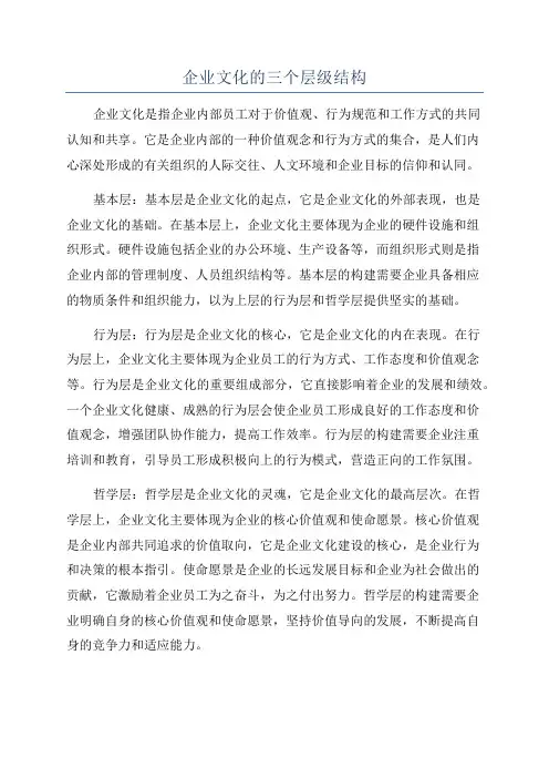 企业文化的三个层级结构