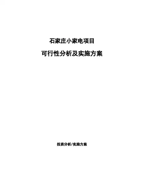 石家庄小家电项目可行性分析及实施方案