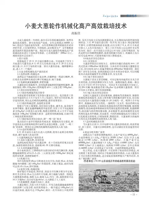 小麦大葱轮作机械化高产高效栽培技术