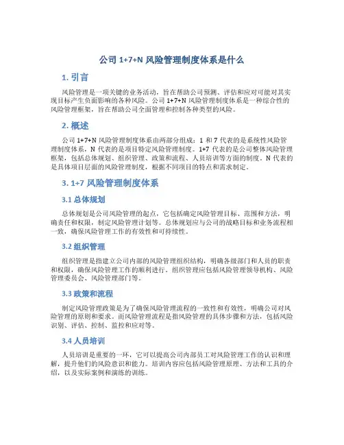 公司1+7+N风险管理制度体系是什么