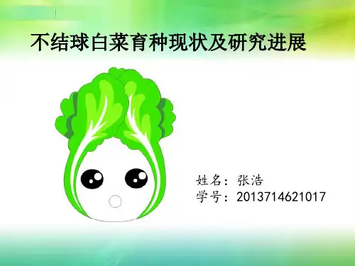 不结球白菜育种现状及进展
