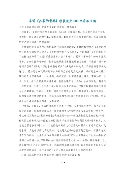 小说《苏菲的世界》收获范文800字左右五篇