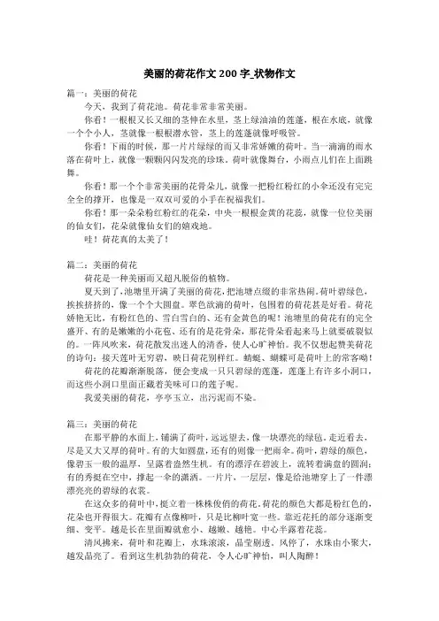 美丽的荷花作文200字_状物作文_2