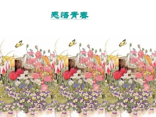 七年级政治感悟青春(1)