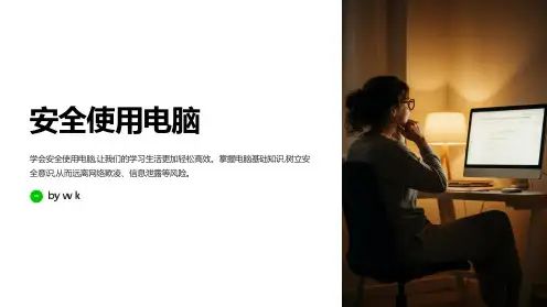 安全使用电脑主题班会PPT课件