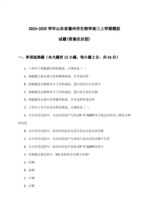 山东省德州市生物学高三上学期试题及答案指导(2024-2025学年)