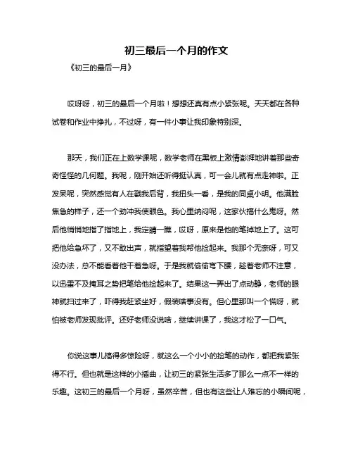 初三最后一个月的作文
