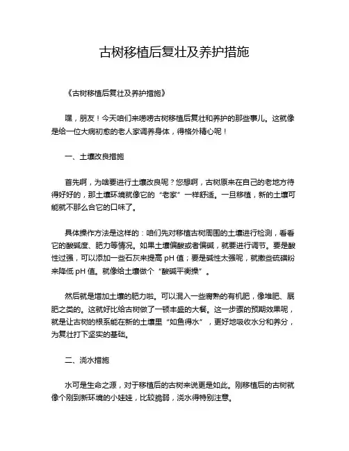 古树移植后复壮及养护措施