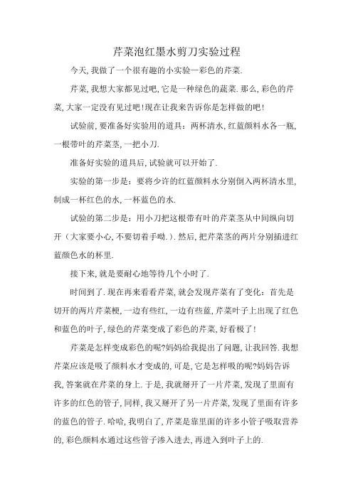 芹菜泡红墨水剪刀实验过程