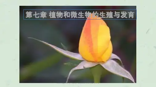 华师大版科学七下绿色开花植物的有性生殖与发育课件