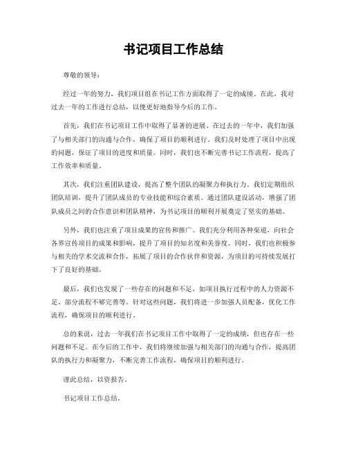 书记项目工作总结