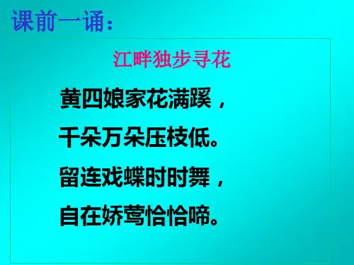 五年级上册语文课件-7.28 心田上的百合花｜西师大版 (共23张PPT)