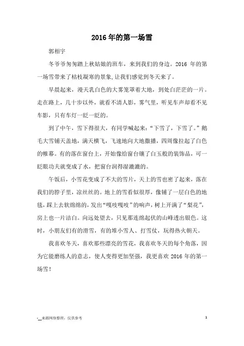 2016年的第一场雪_优秀作文