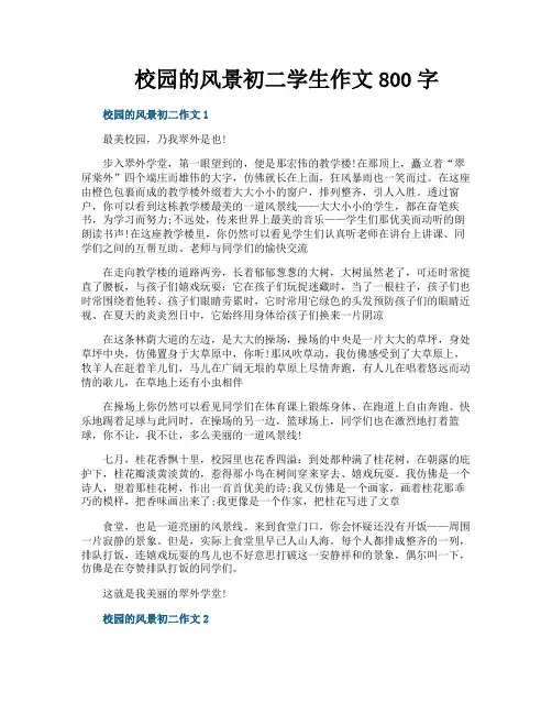 校园的风景初二学生作文800字