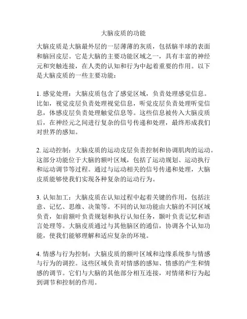 大脑皮质的功能