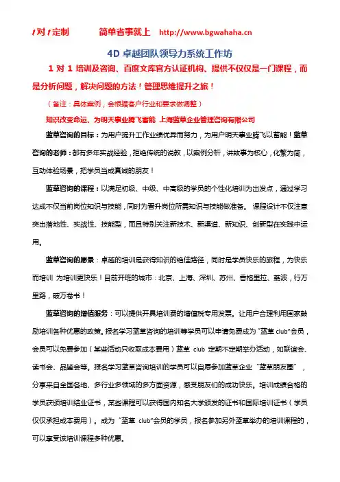 《卓越团队领导力系统工作坊 》