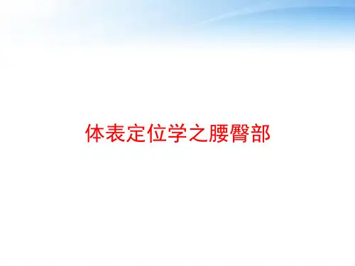 体表定位学之腰臀部 ppt课件
