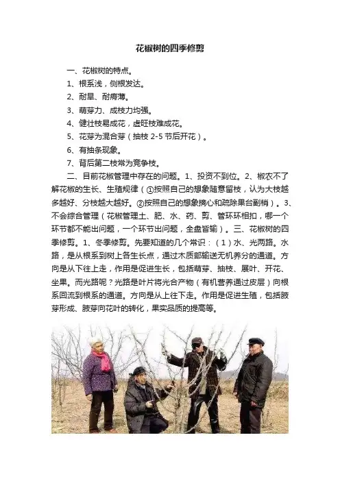 花椒树的四季修剪