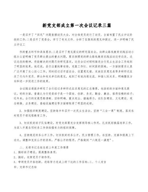 新党支部成立第一次会议记录三篇
