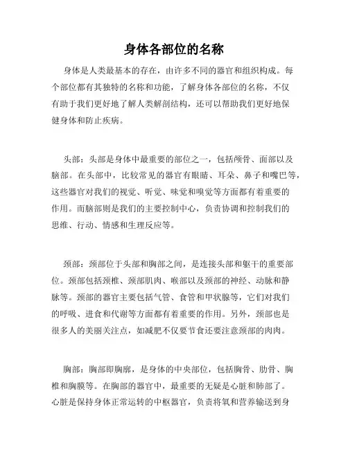 身体各部位的名称