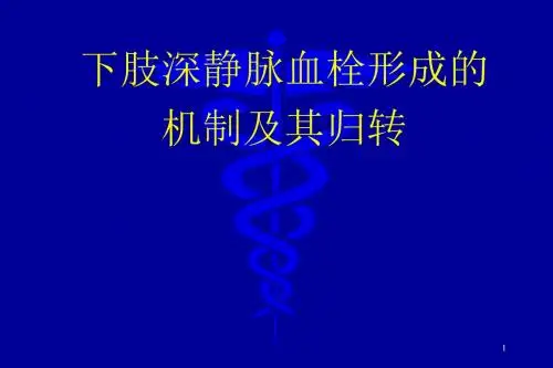 下肢深静脉血栓形成的机制及其归转PPT课件