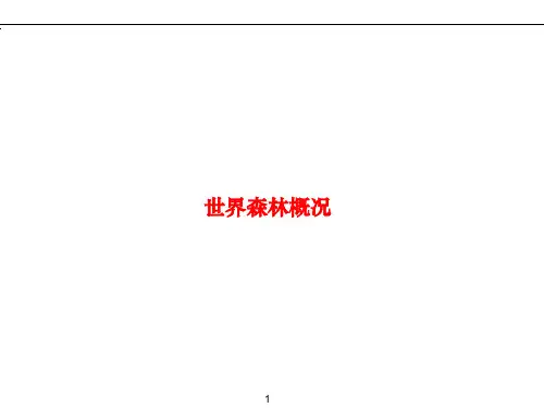 木材行业分析课件