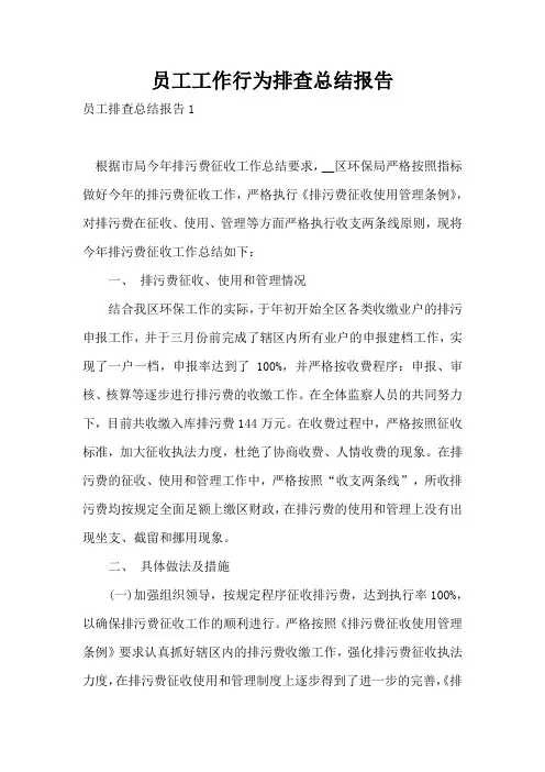 员工工作行为排查总结报告