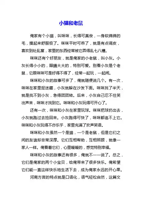 小猫和老鼠的一篇作文