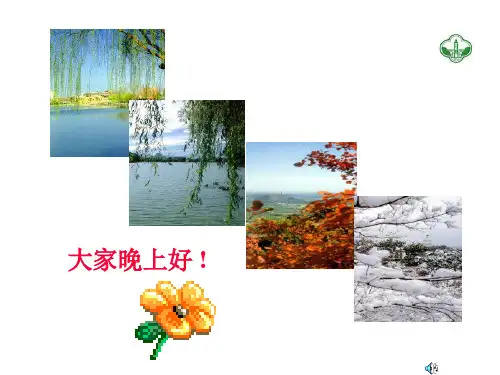 髓鞘解剖与生理(李峰)