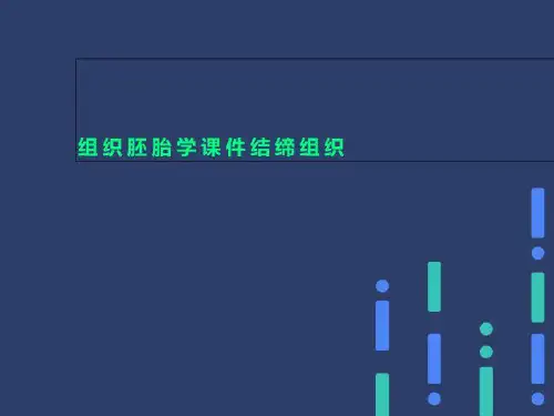 组织胚胎学课件结缔组织