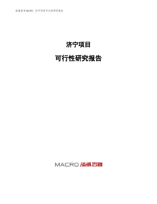 济宁项目可行性研究报告