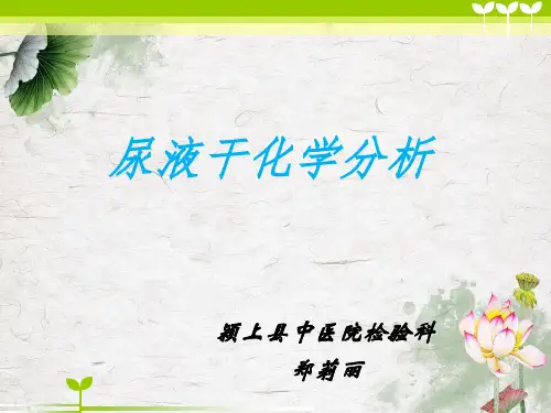 尿液干化学分析