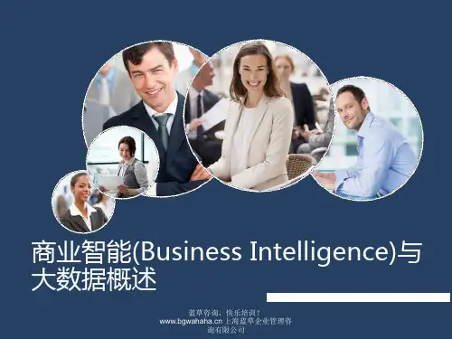 商业智能与大数据概述PPT