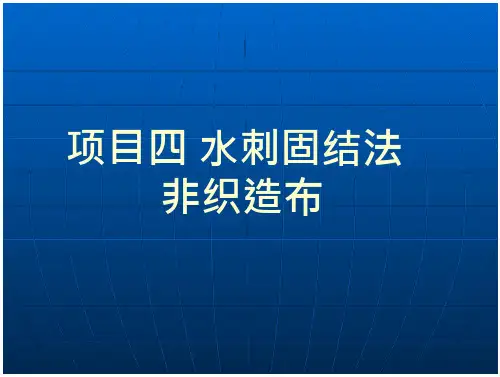 项目四 水刺固结法(63页)