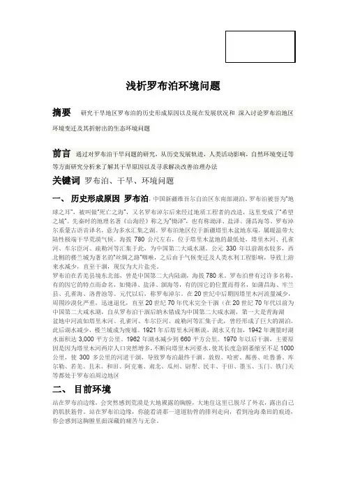 浅析罗布泊环境问题2