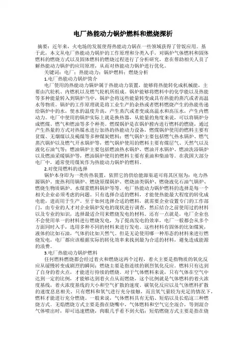 电厂热能动力锅炉燃料和燃烧探析