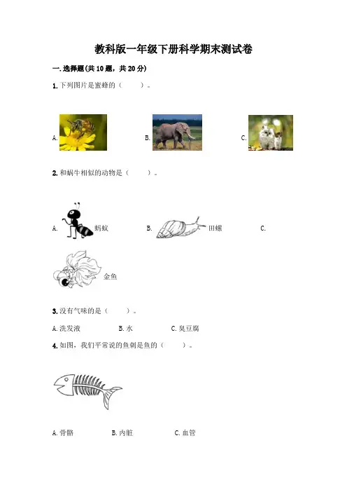 教科版一年级下册科学期末测试卷带答案(实用)