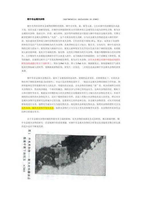 夹杂物