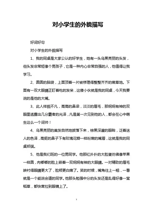 对小学生的外貌描写