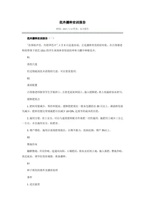 花卉播种实训报告