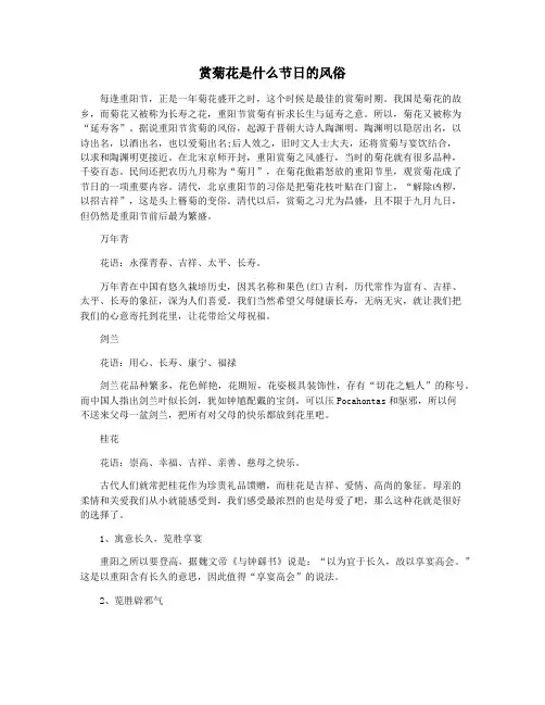 赏菊花是什么节日的风俗