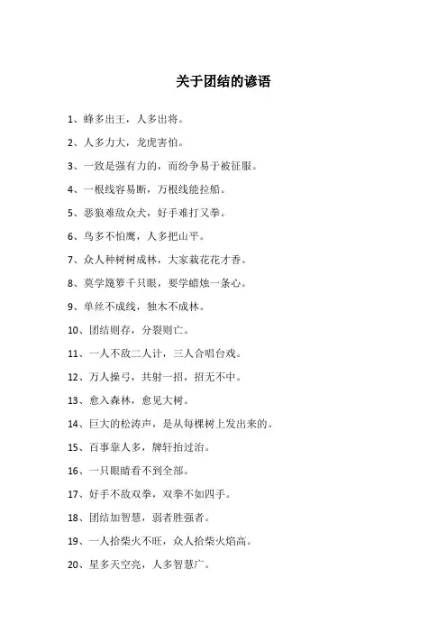 关于团结的谚语