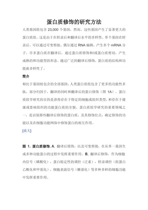 蛋白质修饰的研究方法